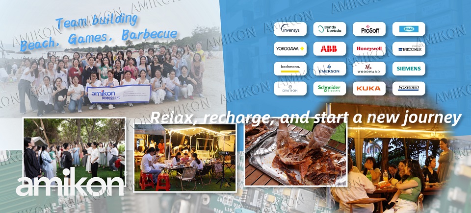 Amikon's team building at the seaside was successfully held, and team spirit and brand concept go hand in hand